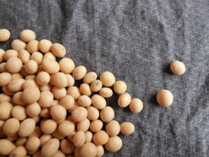 大豆イソフラボン